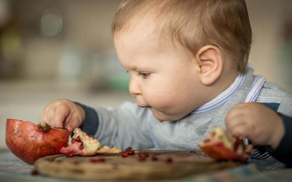 How-to-Give-Pomegranate-to-Babies.jpg